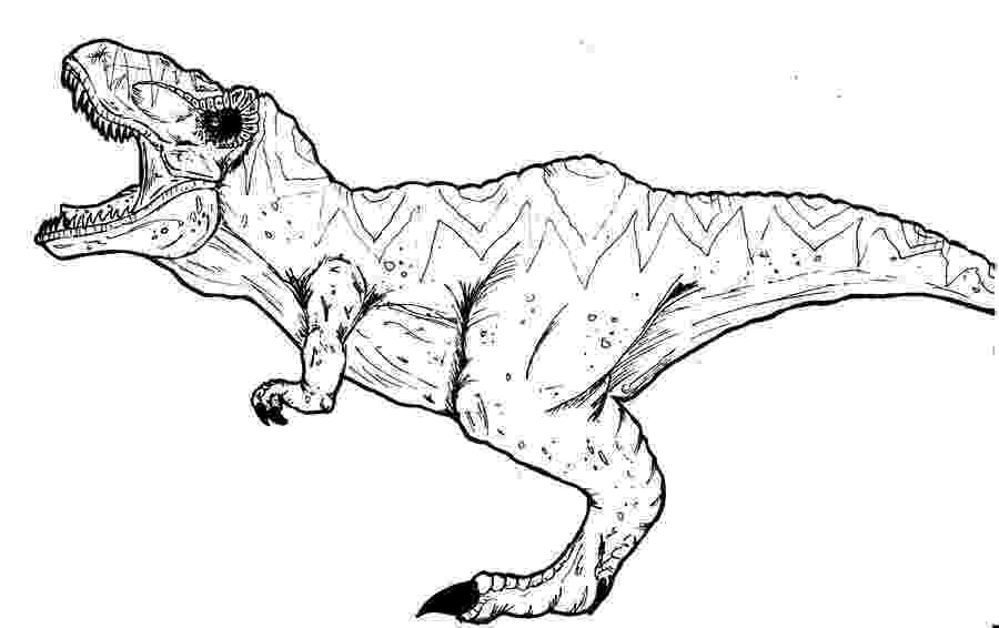 t rex pictures to print t rex dinosaur coloring pages dinosaurs coloring pages rex print to t pictures 