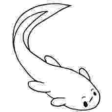 tadpole coloring pages 25 delightful frog coloring pages for your little ones pages tadpole coloring 