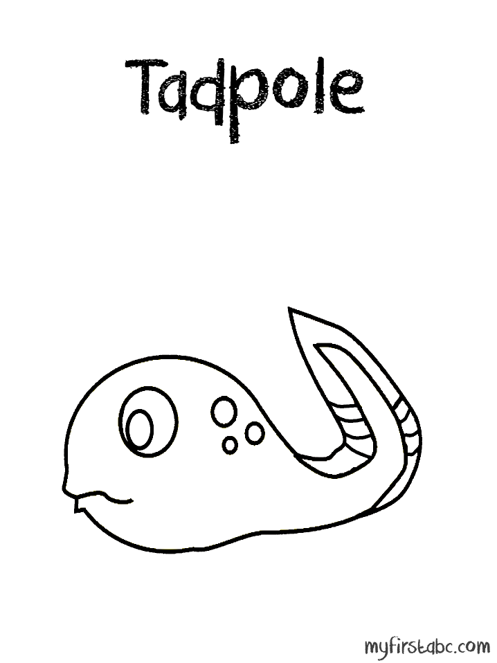 tadpole coloring pages tadpole and froglet coloring page free printable tadpole coloring pages 