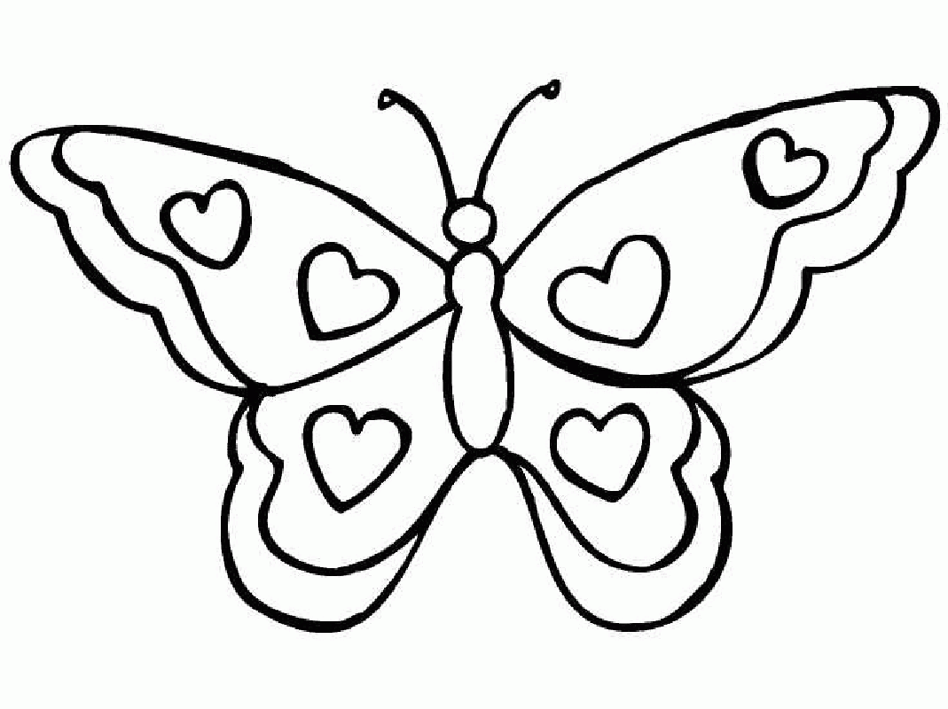 template of butterfly for colouring butterfly coloring pages more to color all ages butterfly of for colouring template 