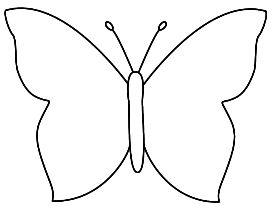 template of butterfly for colouring butterfly outline printable coloring home template colouring of for butterfly 