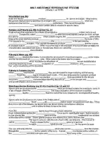the male reproductive system worksheet warner jill 6th grade hand outsworksheets the worksheet male reproductive system 