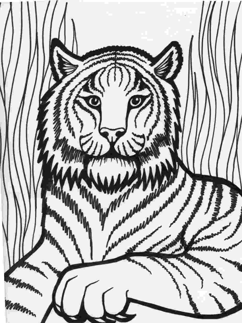 tiger colouring pictures free printable tiger coloring pages for kids pictures colouring tiger 