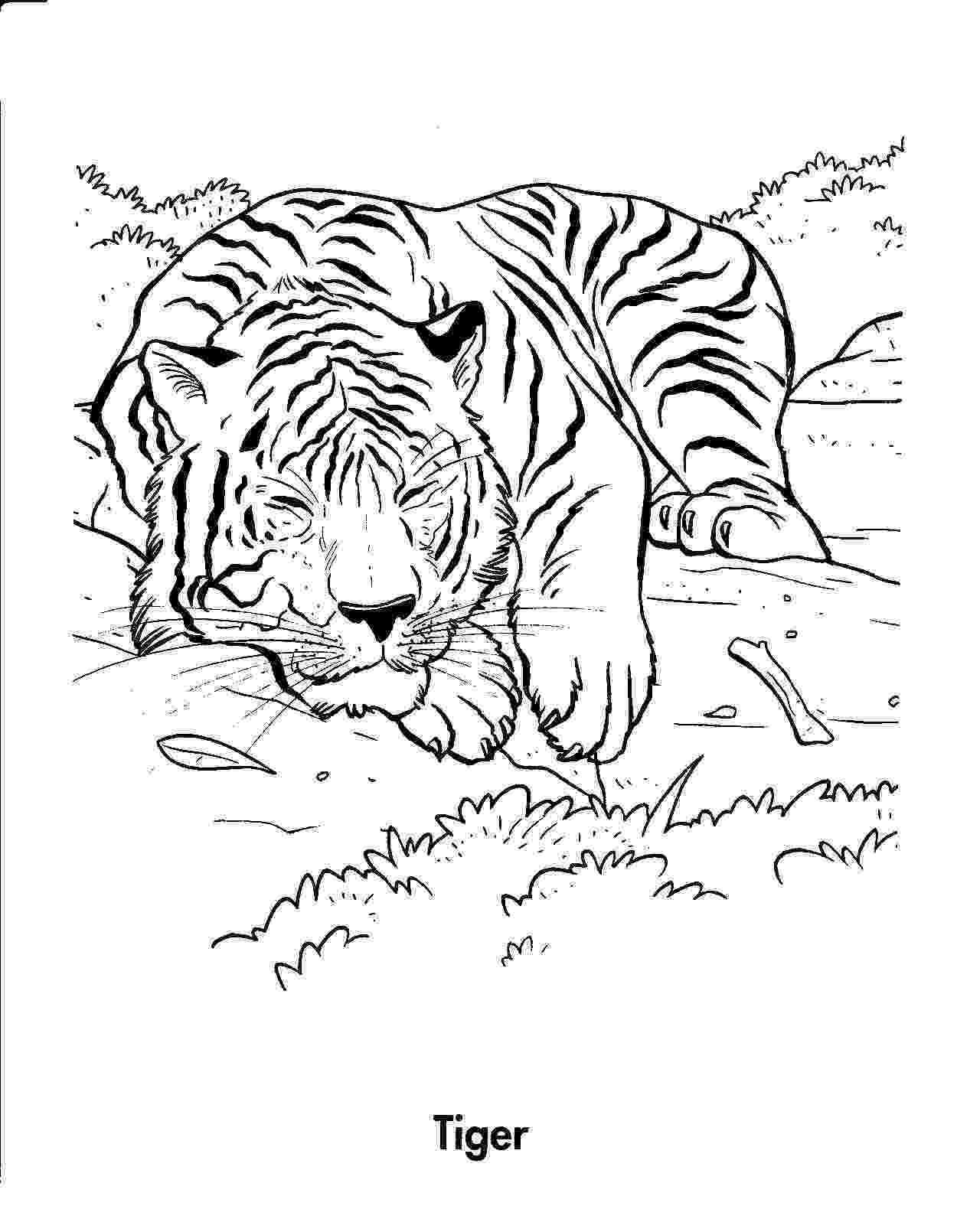 tiger colouring pictures free printable tiger coloring pages for kids tiger colouring pictures 1 1