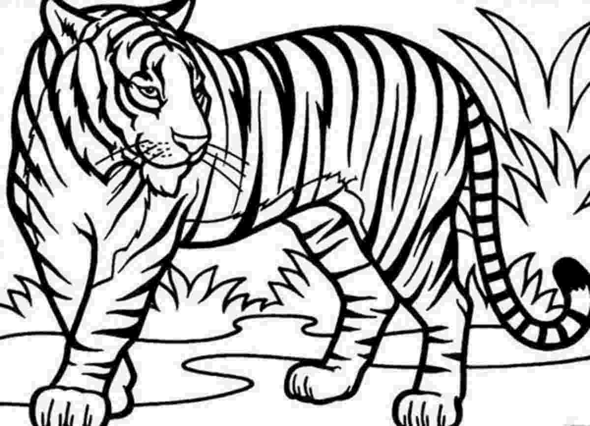 tiger colouring pictures tiger coloring page free printable coloring pages colouring tiger pictures 