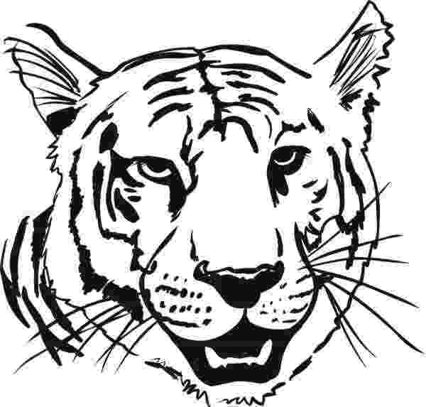 tiger face coloring page head tiger coloring pages gtgt disney coloring pages page coloring tiger face 