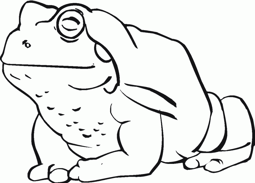 toad pictures to print free printable toad coloring pages for kids print pictures toad to 