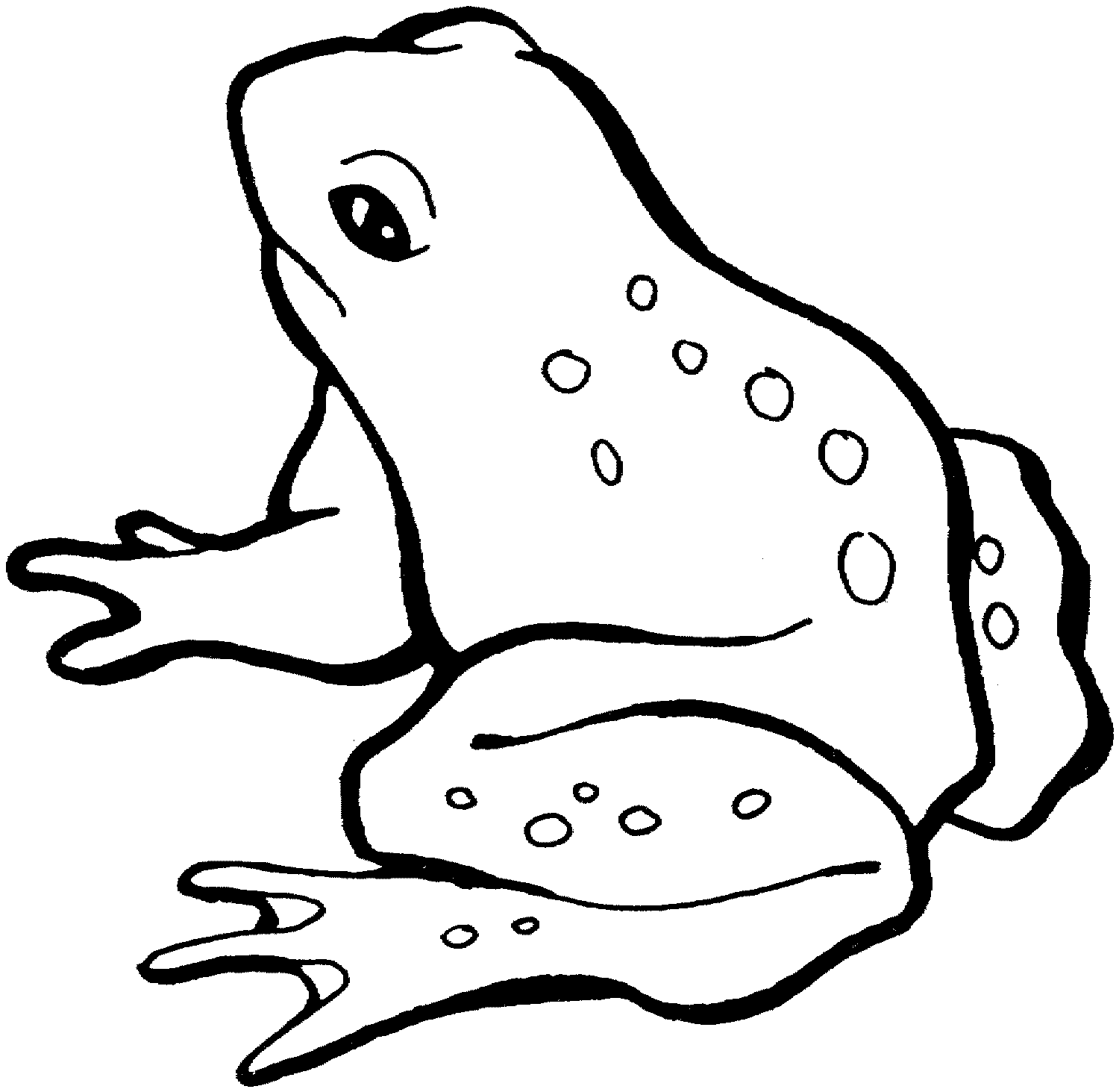 toad pictures to print frog coloring pages to print toad to pictures print 