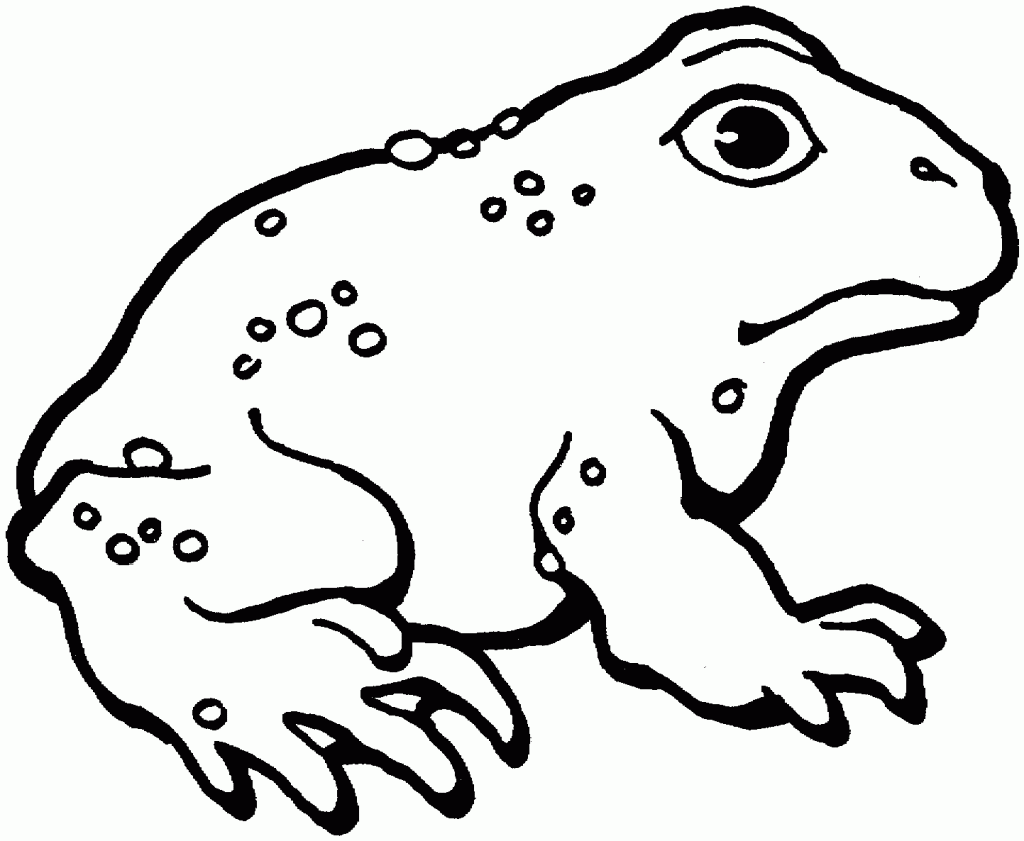 toad pictures to print printable toad coloring pages for kids cool2bkids print to pictures toad 