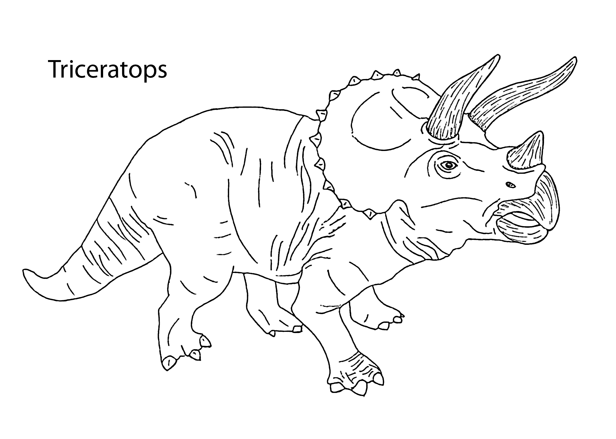 triceratops coloring pages free printable triceratops coloring pages for kids triceratops coloring pages 1 1