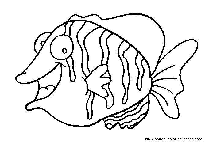 tropical fish coloring pages redirecting to httpwwwsheknowscomparentingslideshow pages tropical fish coloring 