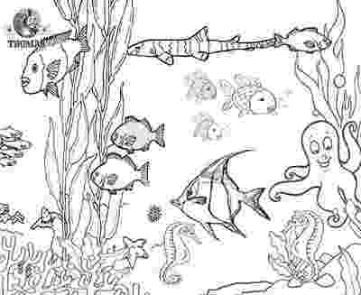 tropical fish coloring pages tropical fish coloring pages getcoloringpagescom pages fish coloring tropical 