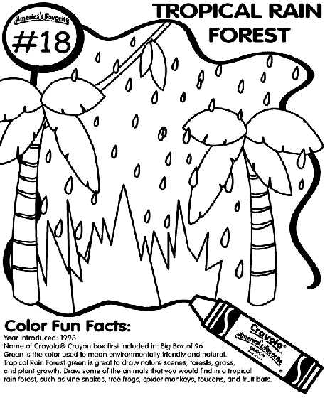 tropical rainforest coloring page the daily art of lemurkat colouring pages coloring page rainforest tropical 