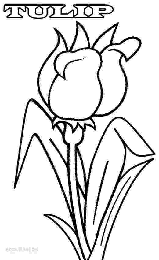 tulip colouring pages 14 tulip coloring page print color craft colouring pages tulip 