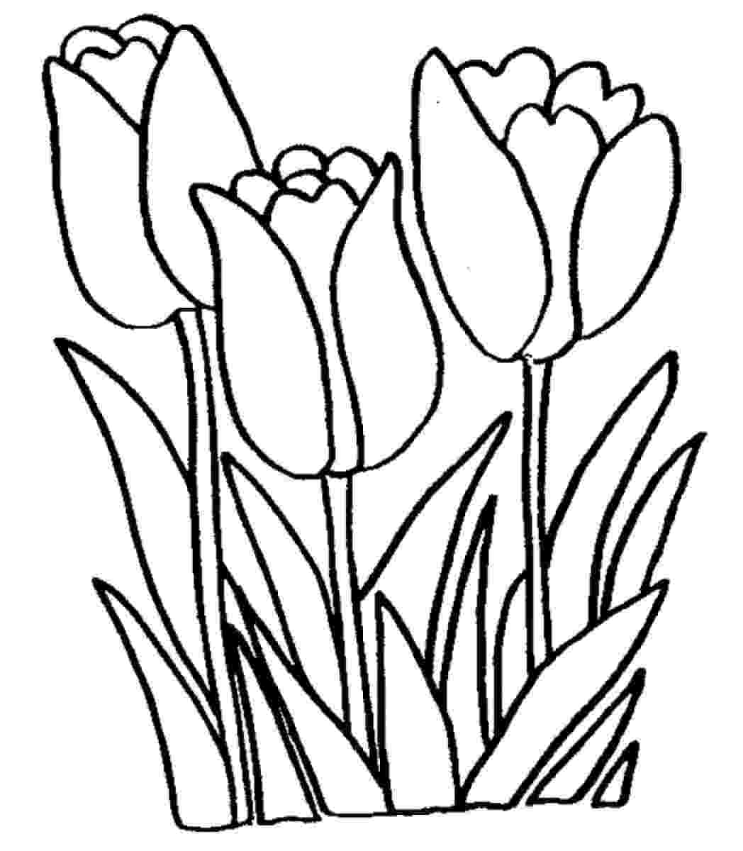 tulip colouring pages coloring pages for kids tulip coloring pages for kids pages tulip colouring 