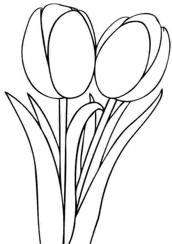 tulip colouring pages printable tulip coloring pages for kids cool2bkids colouring pages tulip 1 1