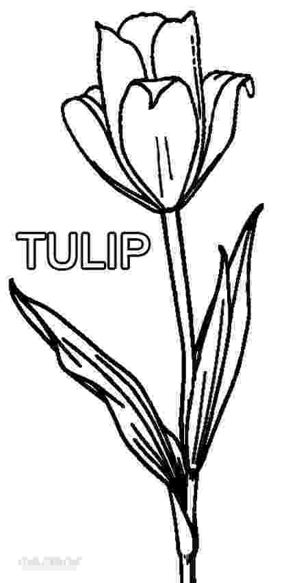 tulip colouring pages printable tulip coloring pages for kids cool2bkids colouring tulip pages 