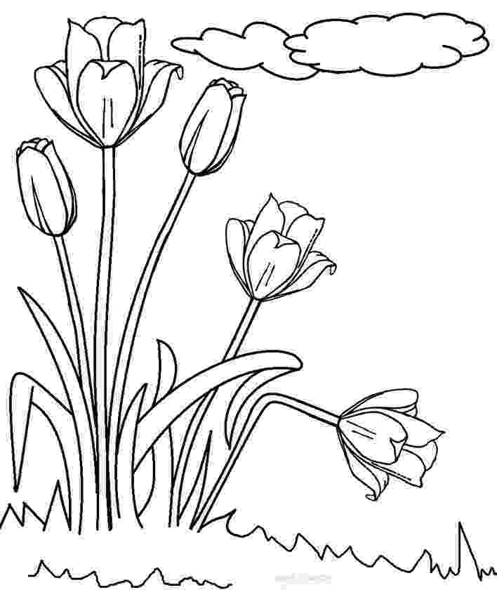 tulip colouring pages tulip coloring pages free printable coloring pages for kids pages colouring tulip 