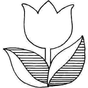 tulip colouring pages tulip coloring pages free printable coloring pages for kids pages tulip colouring 