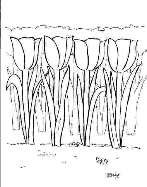tulip pictures to color coloring pages for kids by mr adron tulips print and color to pictures tulip 