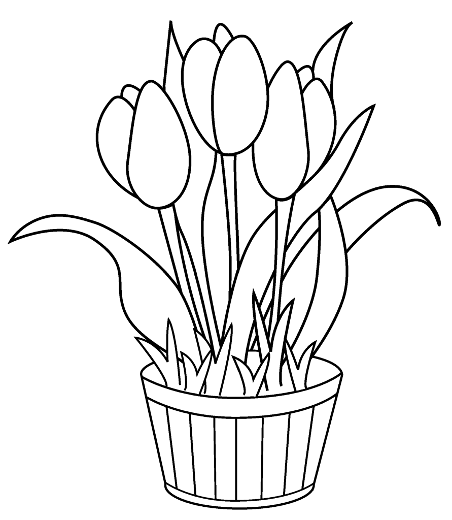 tulip pictures to color free printable tulip coloring pages for kids color to tulip pictures 