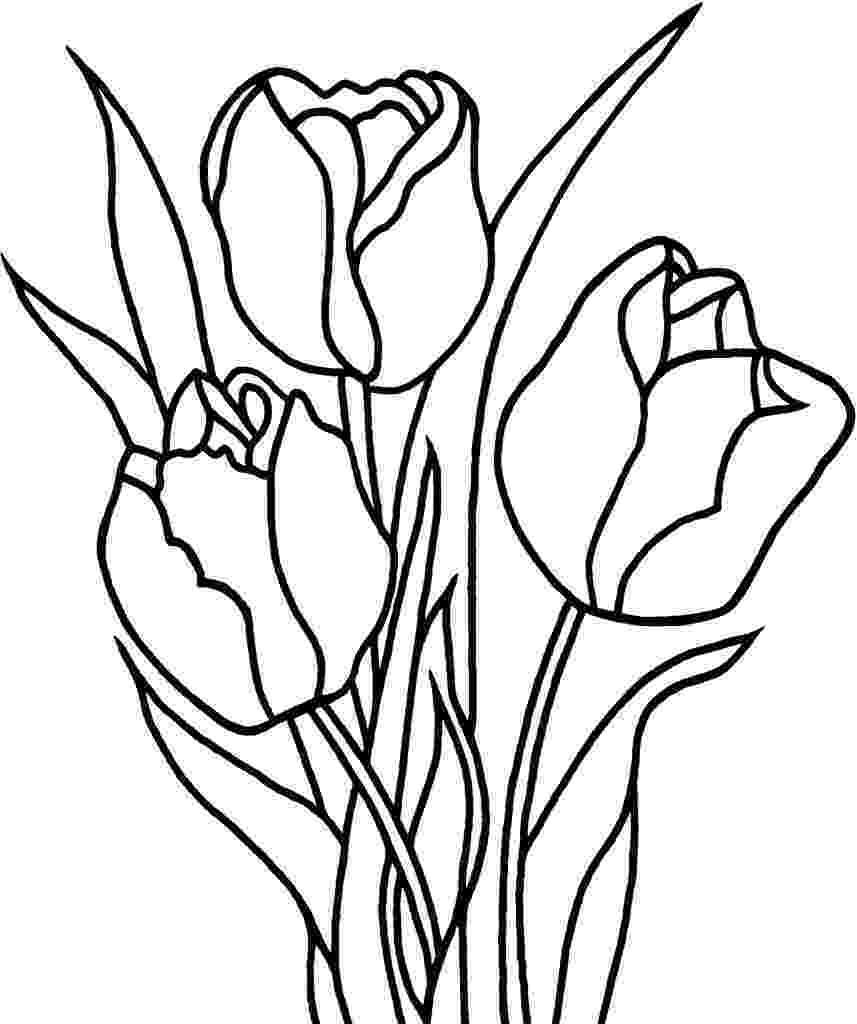 tulip pictures to color free printable tulip coloring pages for kids pictures color tulip to 
