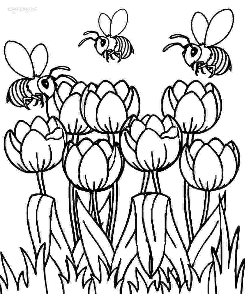 tulip pictures to color tulip coloring page child coloring tulip color pictures to 