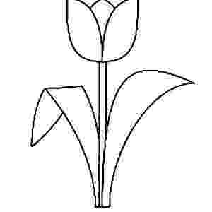 tulip pictures to color tulip flower coloring pages getcoloringpagescom tulip pictures color to 