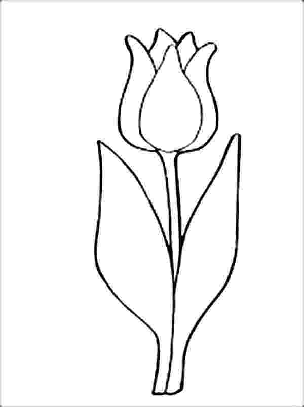 tulips to color tulips flowers coloring pages and tulips crafts spring tulips to color 