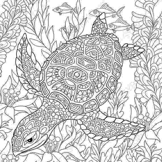 turtle coloring book green sea turtle coloring page free printable coloring coloring book turtle 