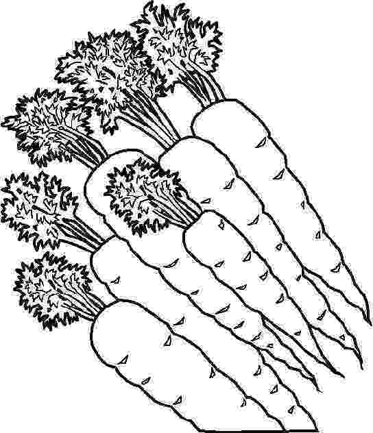vegetable colouring pictures fruits and vegetables coloring page vegetable coloring vegetable colouring pictures 