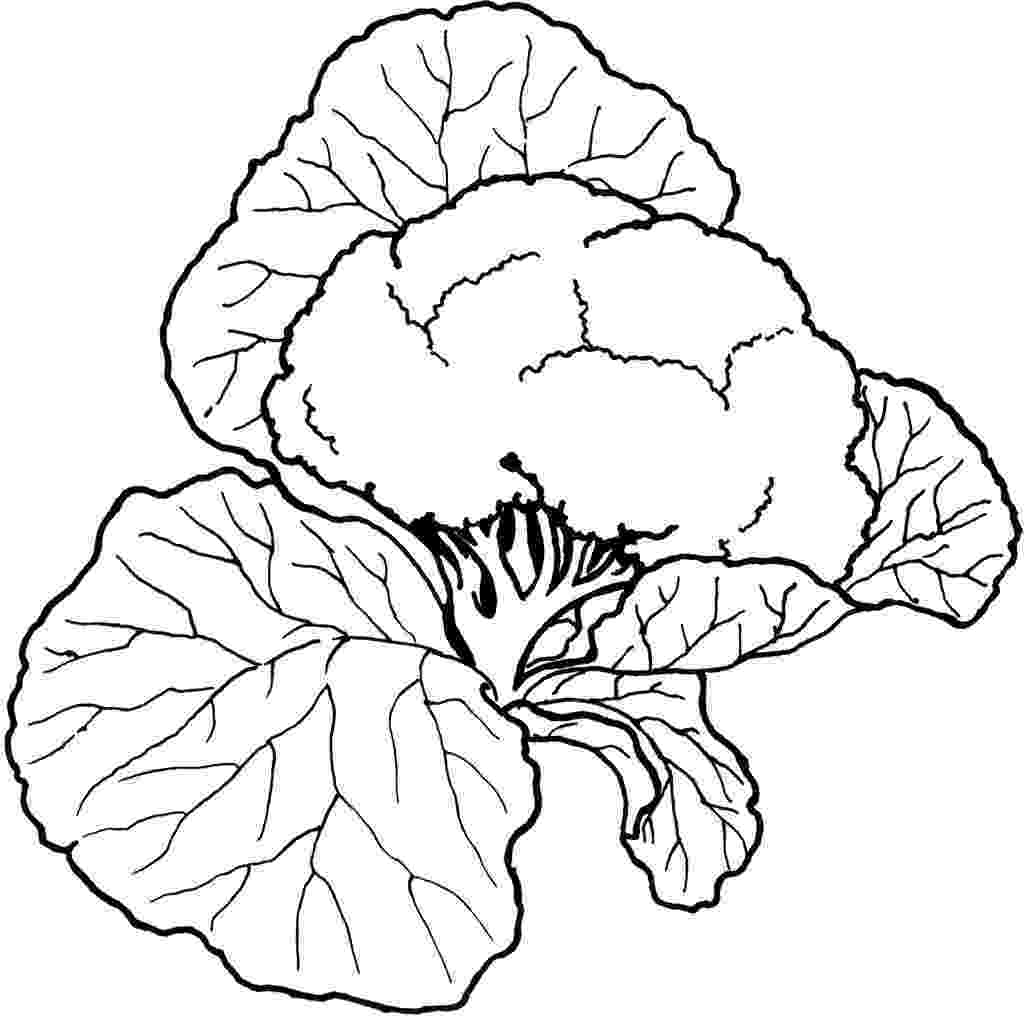 vegetable colouring pictures vegetable coloring pages best coloring pages for kids colouring vegetable pictures 1 1