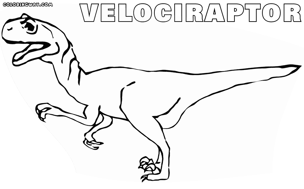 velociraptor pictures velociraptor coloring pages best coloring pages for kids velociraptor pictures 1 1