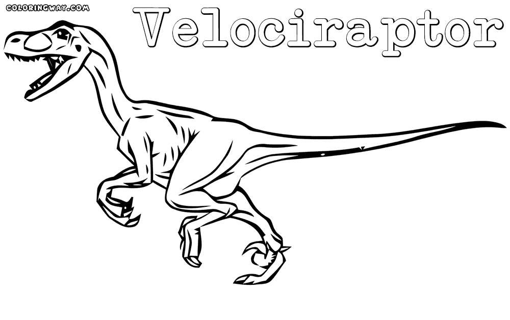 velociraptor pictures velociraptor coloring pages coloring pages to download pictures velociraptor 