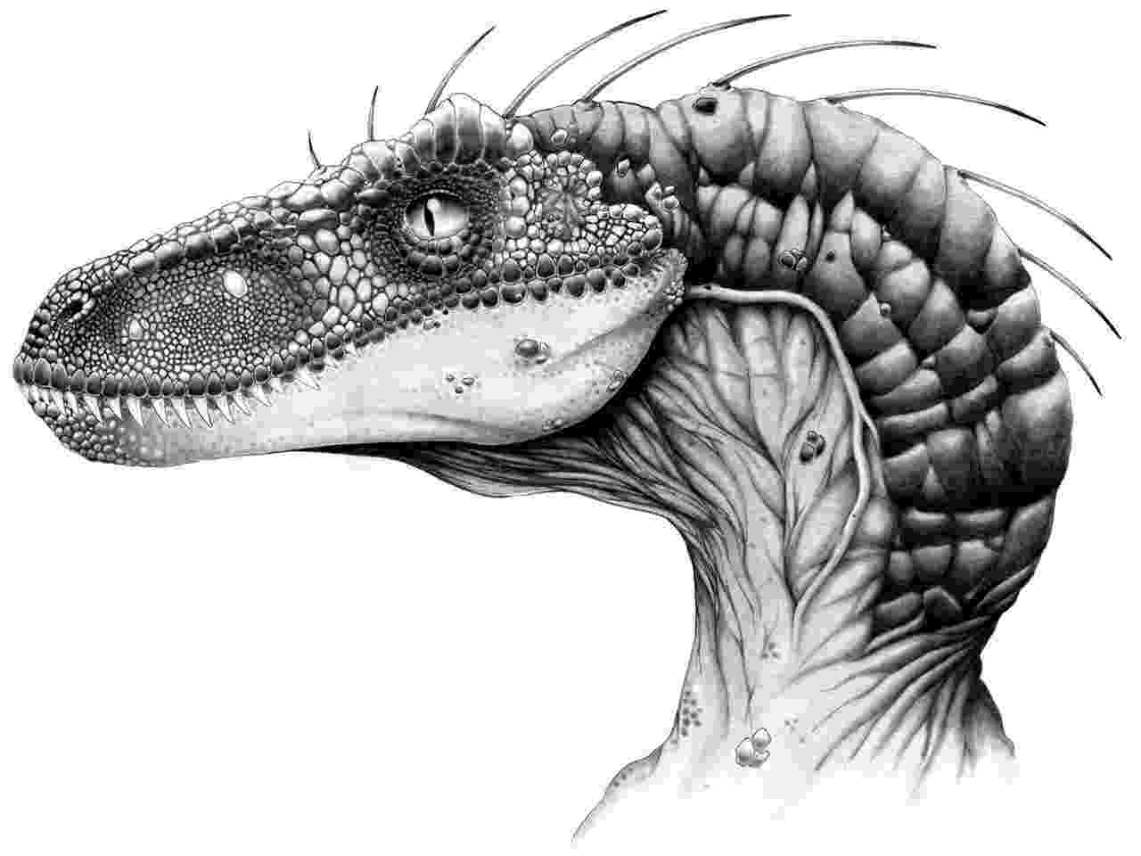 velociraptor pictures velociraptor coloring pages coloring pages to download pictures velociraptor 1 1