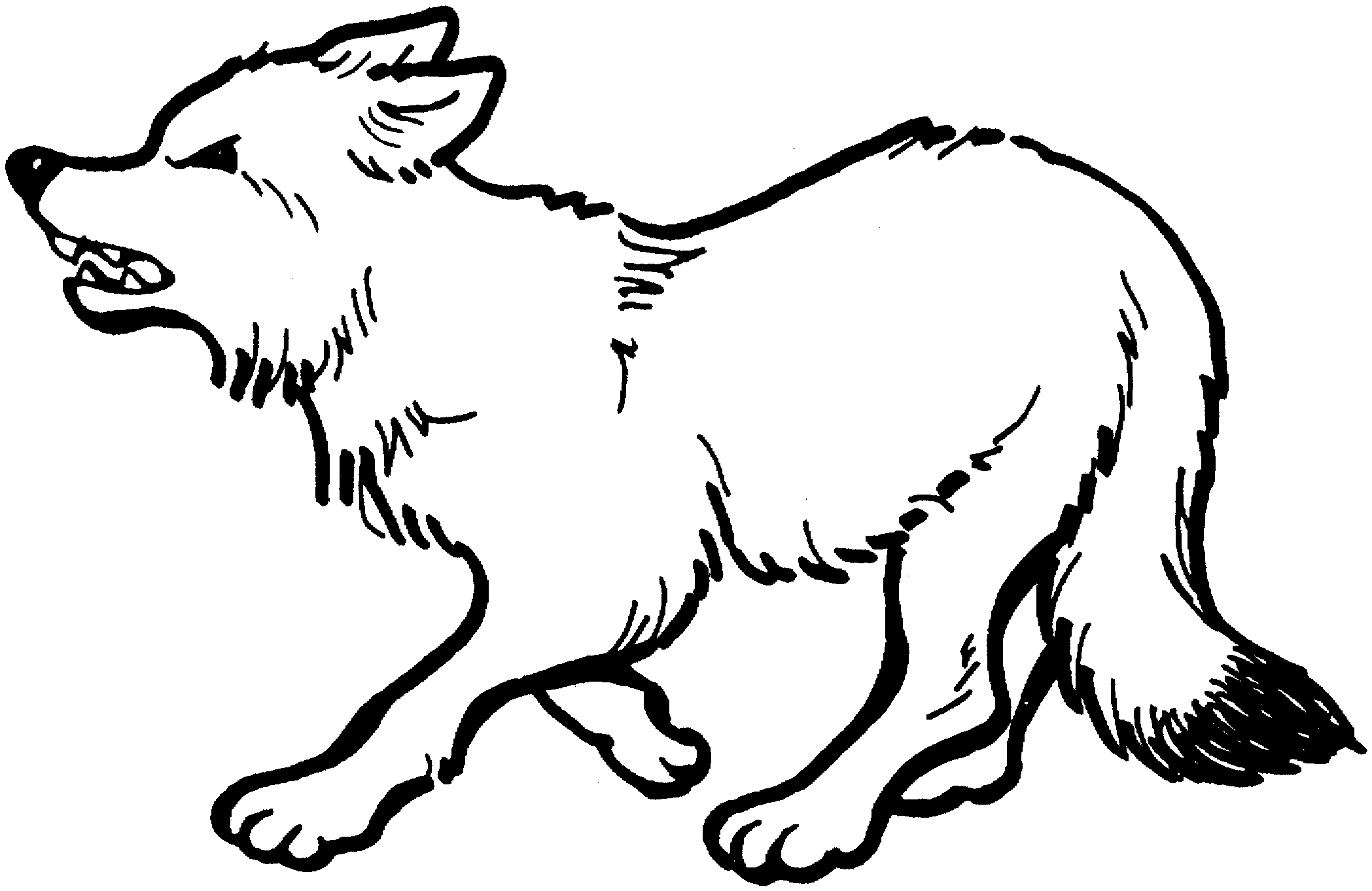 wolf for coloring free wolf coloring pages for coloring wolf 