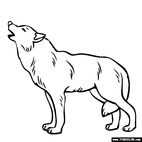 wolf for coloring winged wolf coloring pages wolf colors cute wolf drawings wolf for coloring 