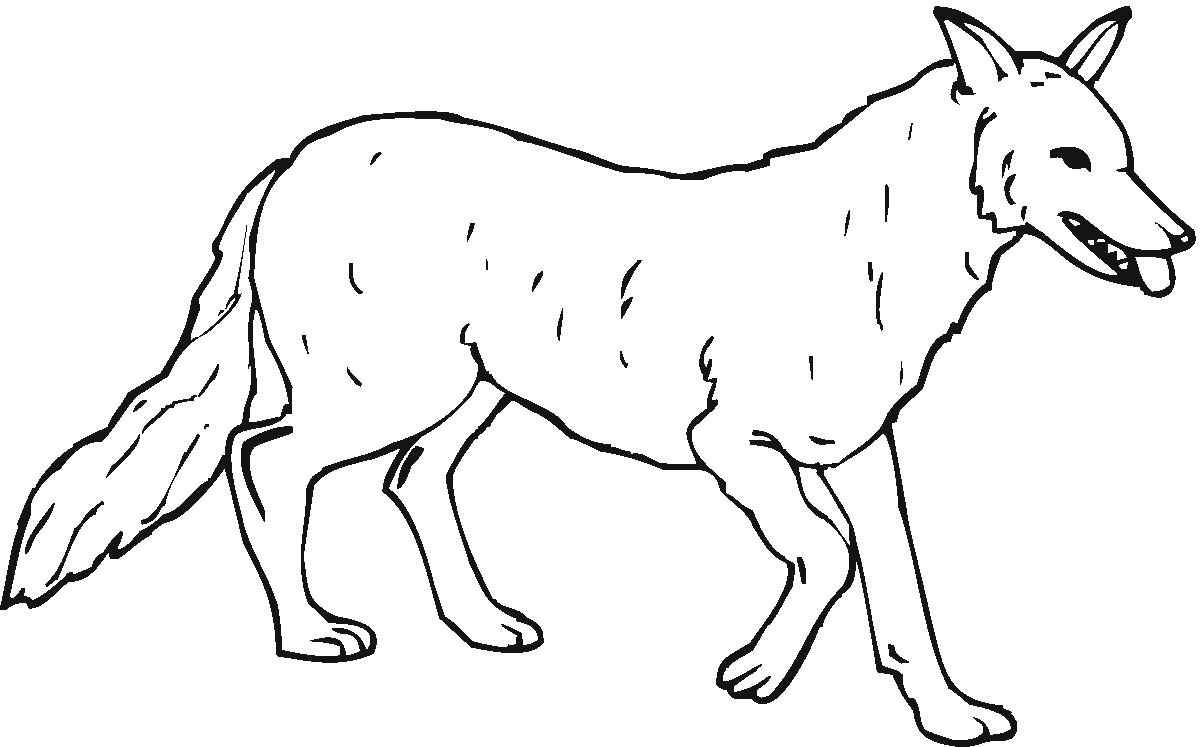 wolves colouring pages free printable wolf coloring pages for kids colouring wolves pages 