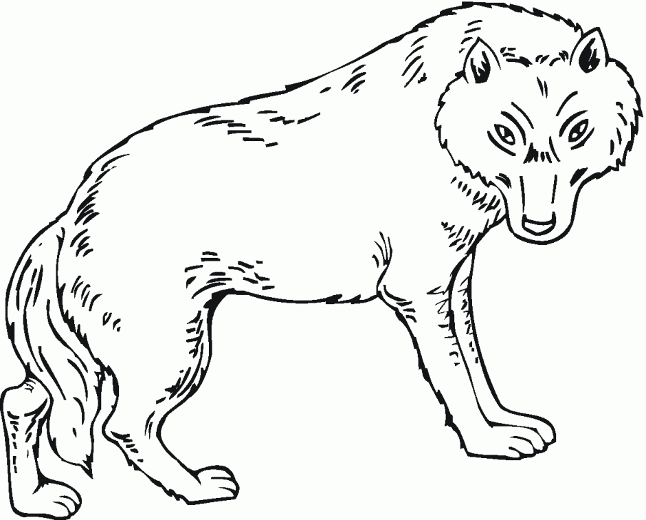 wolves colouring pages free printable wolf coloring pages for kids pages colouring wolves 1 1