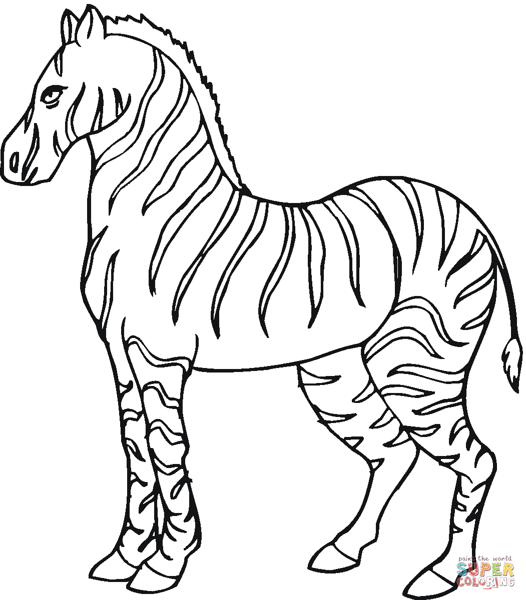 zebra coloring book zebra coloring pages getcoloringpagescom book zebra coloring 