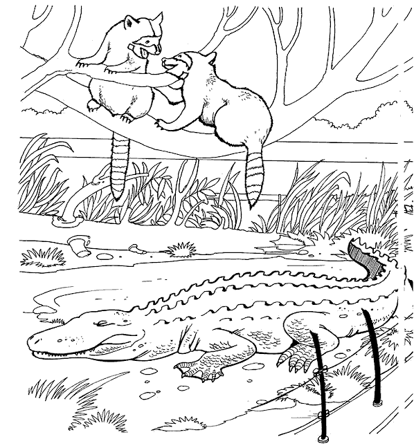 zoo coloring page free printable zoo coloring pages for kids page zoo coloring 1 1