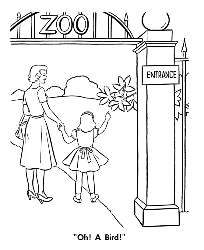 zoo coloring page zoo collage zoo page coloring 