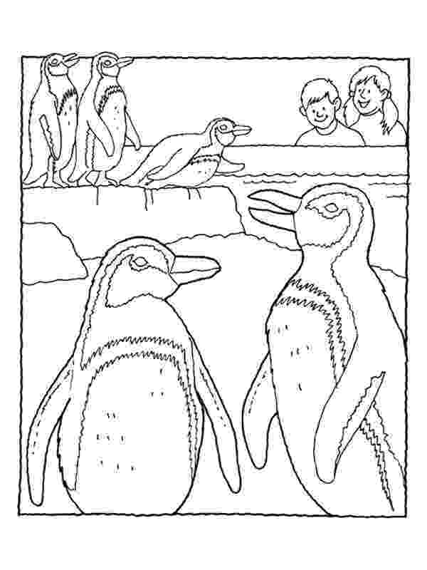 zoo coloring page zoo coloring pages coloring pages to print coloring zoo page 