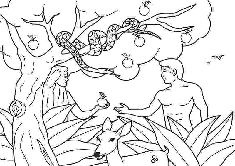 adam and eve coloring pages 為孩子們的著色頁 adam and eve coloring pages and adam coloring eve pages 
