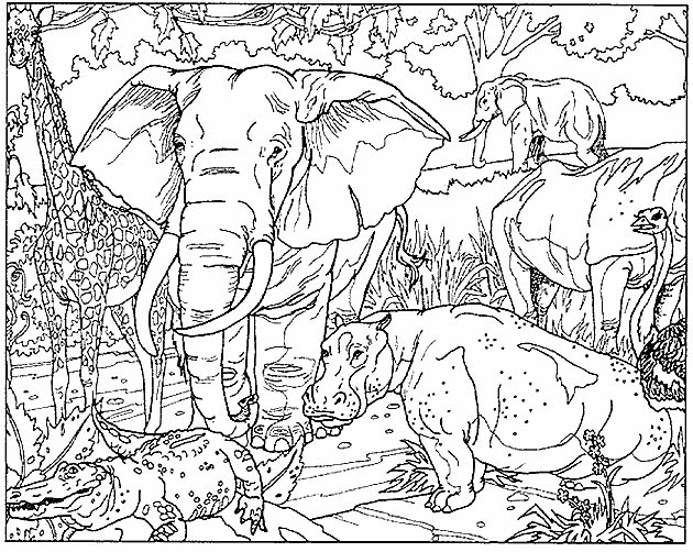 african animals coloring pages set of cute african animals coloring page funny cartoon coloring animals pages african 