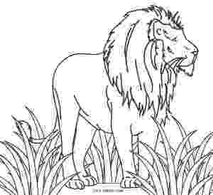 african lion coloring page african lion coloring page color luna coloring lion african page 
