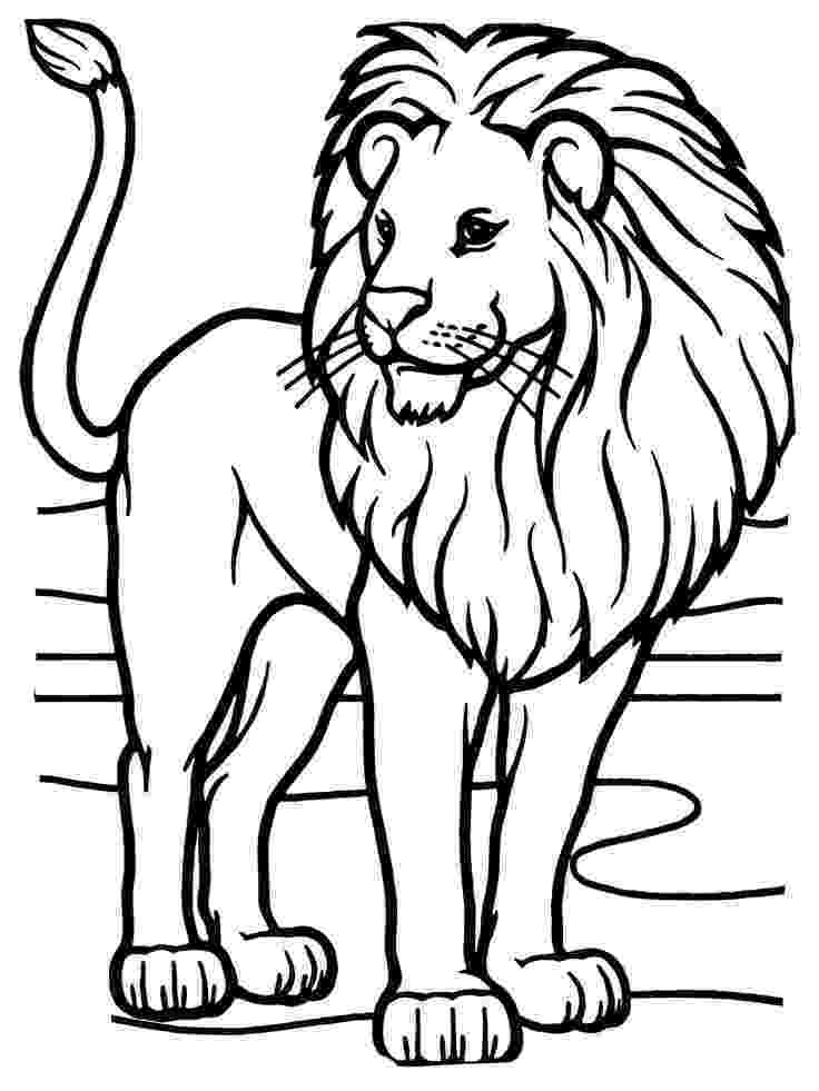 african lion coloring page african lion coloring pages lion coloring pages big coloring page lion african 