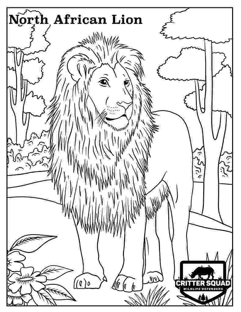 african lion coloring page african lion on a printable free coloring pages for children lion african page coloring 