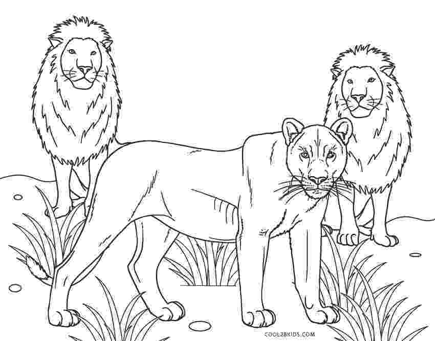 african lion coloring page free printable lion coloring pages for kids cool2bkids african page lion coloring 