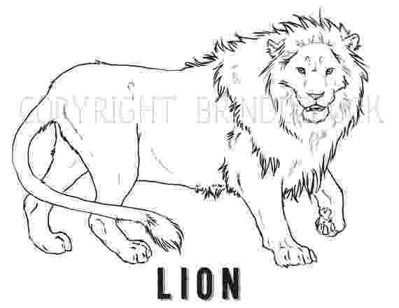 african lion coloring page free printable lion coloring pages for kids cool2bkids coloring african page lion 1 1